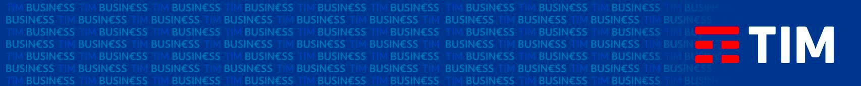 TIM Business